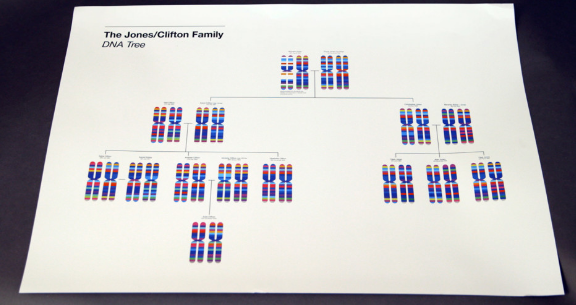 用棉簽采集你嘴里的DNA，根據(jù)它的特征定制一條專屬圍巾