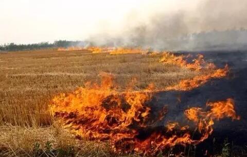 十年后霧霾會(huì)消失嗎？院士：十年內(nèi)難治好霧霾